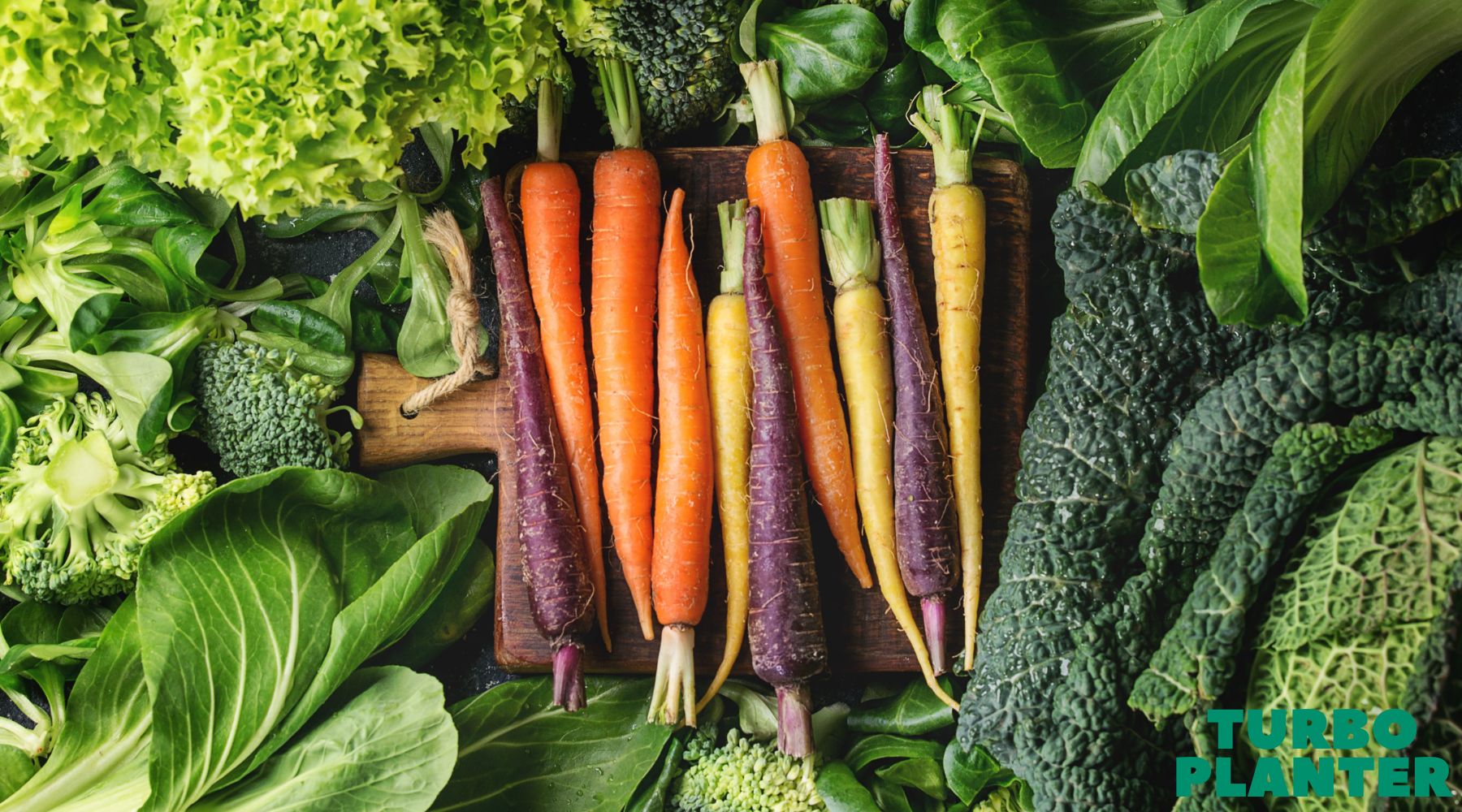 Die 8 einfachsten Gemüsesorten für den Anbau zu Hause